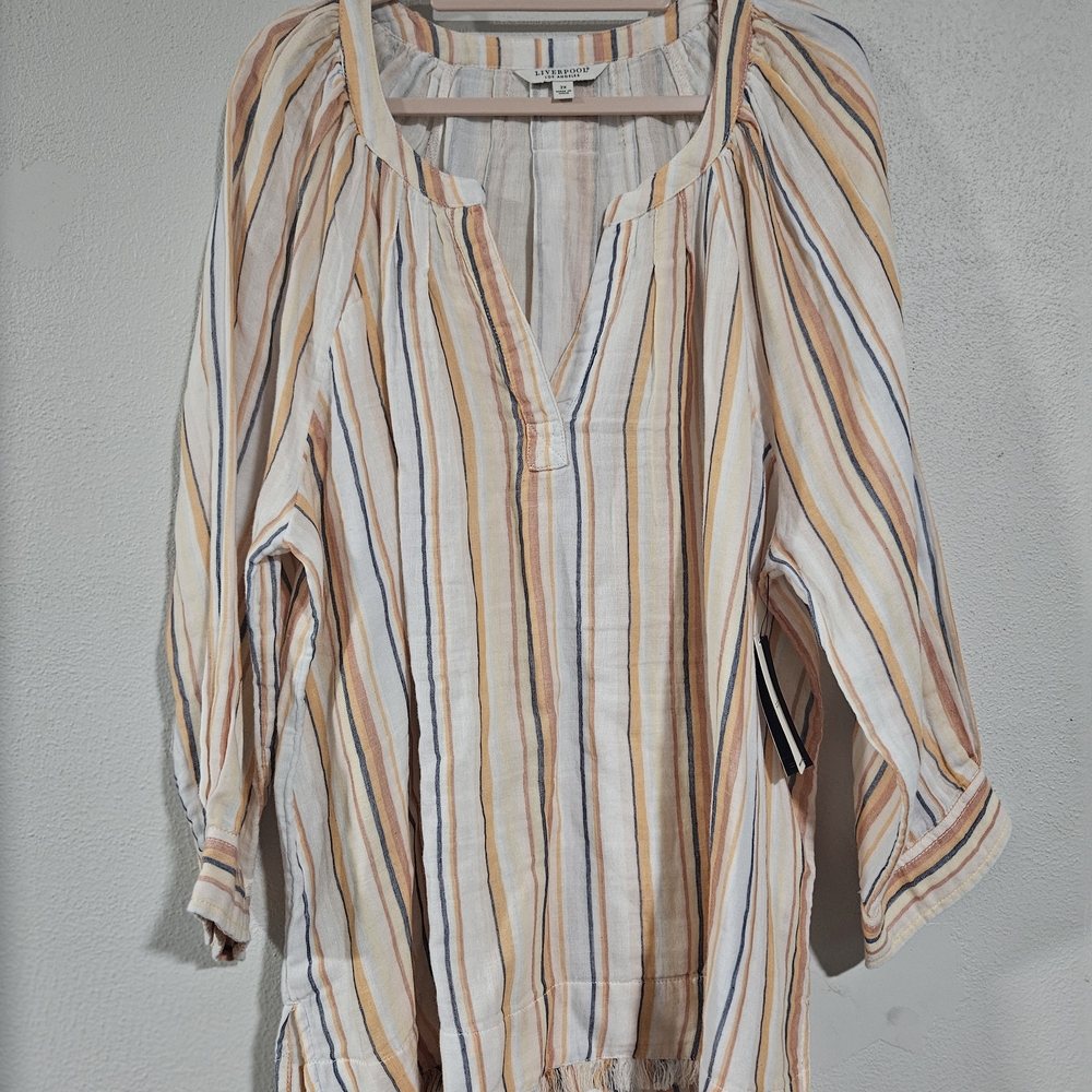 Liverpool Multicolor Striped V-Neck Blouse - Picture 3 of 7